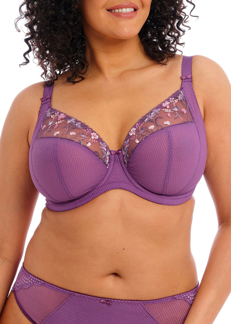 Charley Underwire Plunge Bra - Pansy