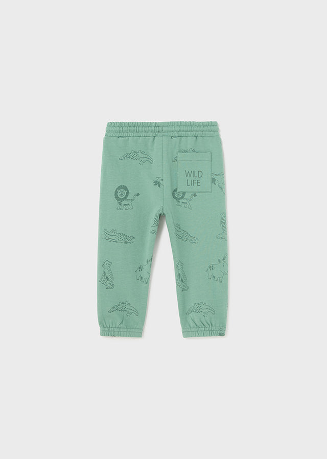 Printed Knit Pants - Eucalyptus