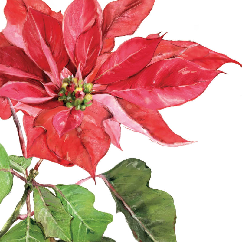 Pack of 20 Napkins - Poinsettia