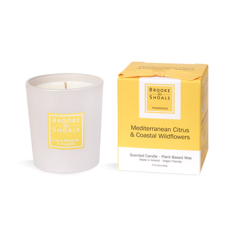 Mediterranean Citrus & Coastal Wildflowers - Candle