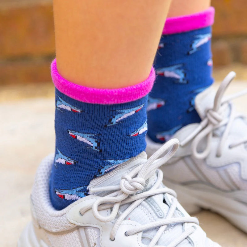 Shark Socks - Shark