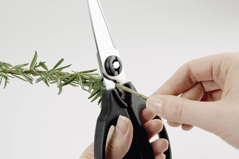 Kitchen & Herb Scissors