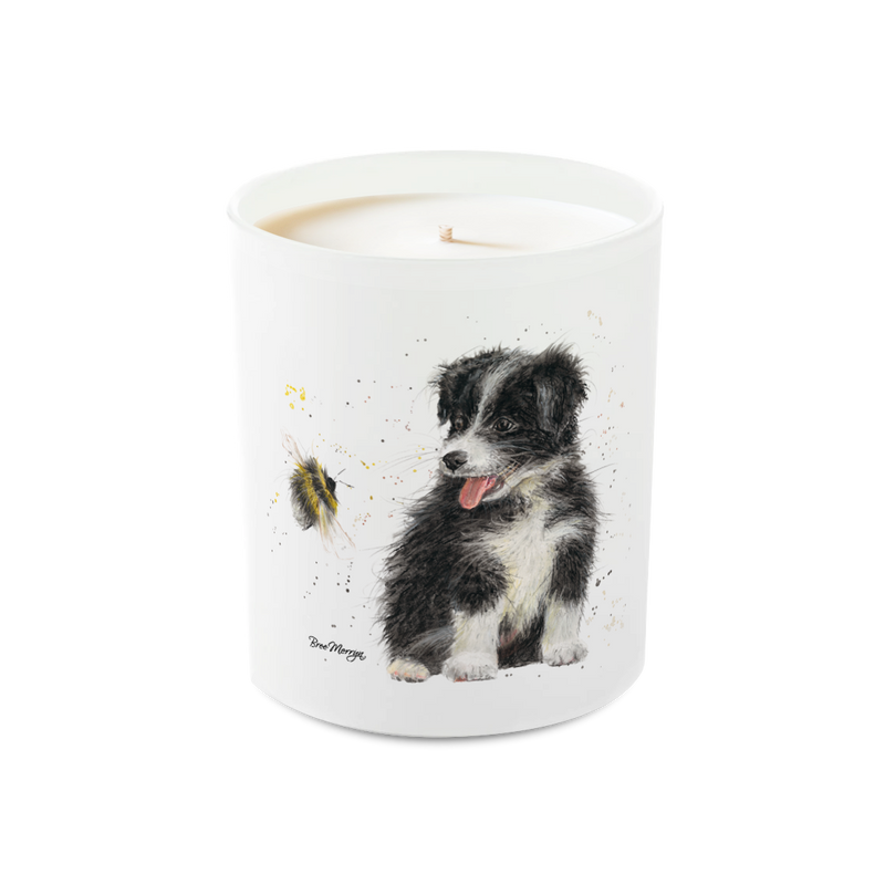 Bree Merryn Glass Candle - Beck & Bumble