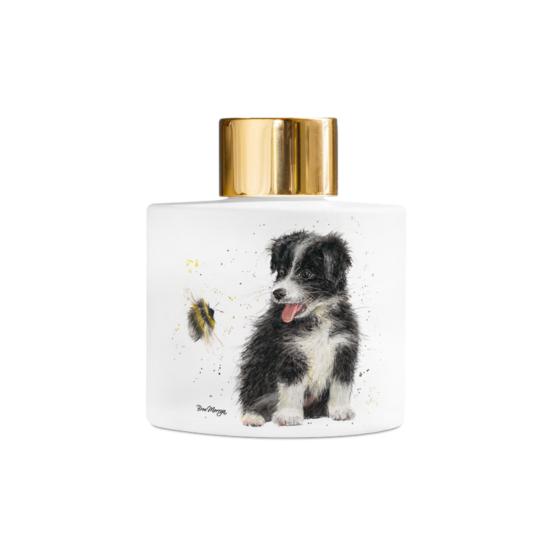 Bree Merryn 100ml Reed Diffuser - Beck & Bumble