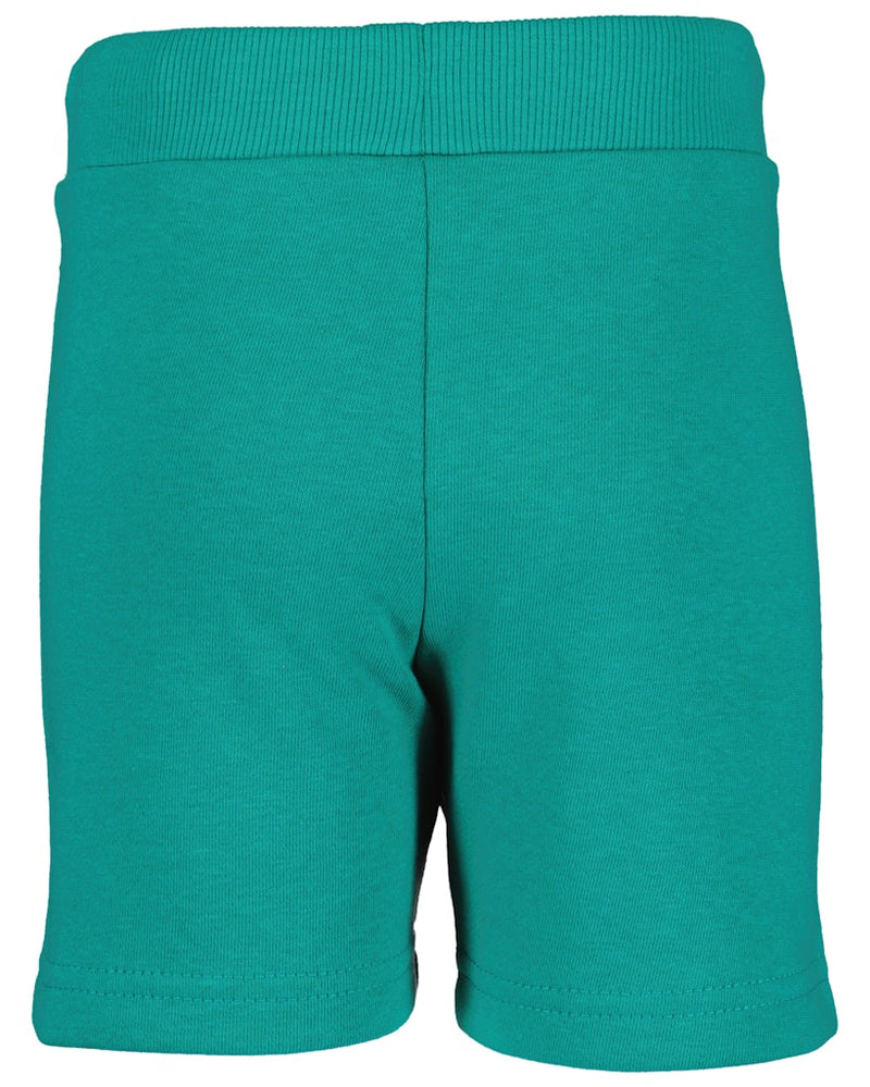 Scooter Sweat Shorts - Lagune