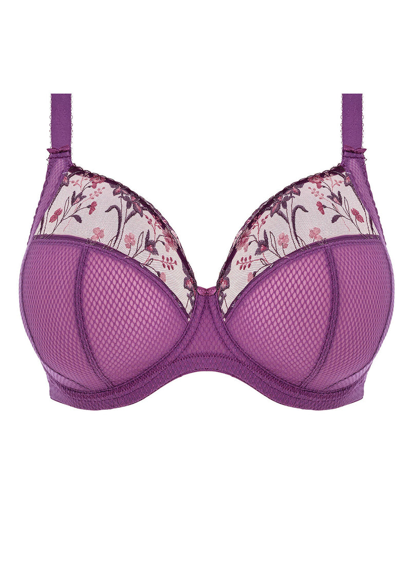 Charley Underwire Plunge Bra - Pansy