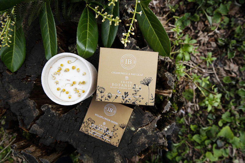 Wildflowers of Ireland Candle - Chamomile & Bay Leaf