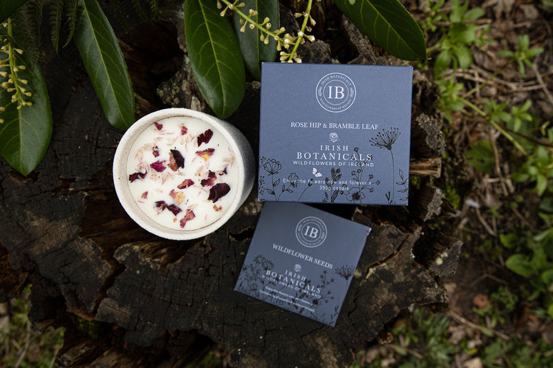 Wildflowers of Ireland Candle - Rose Hip & Bramble Leaf