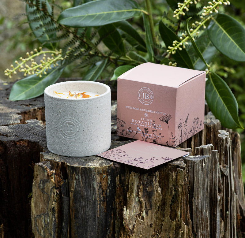 Wildflowers of Ireland Candle - Wild Rose & Stinging Nettle