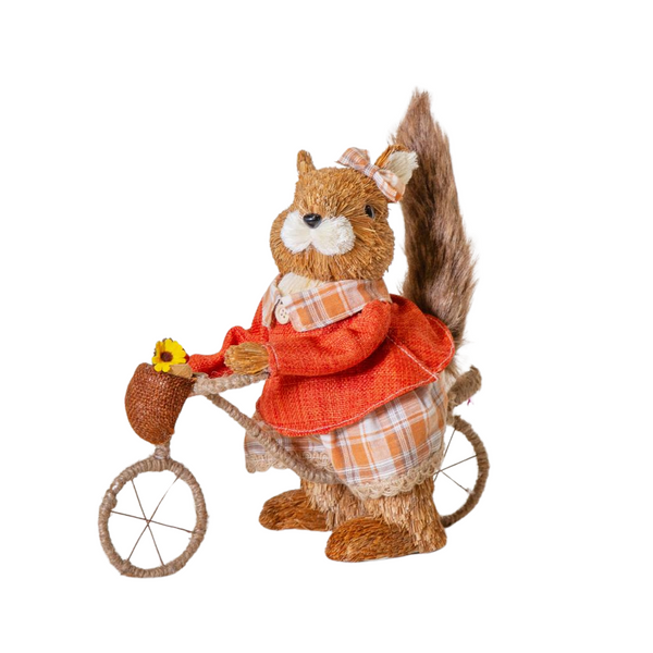 Girl Squirrel on Bike