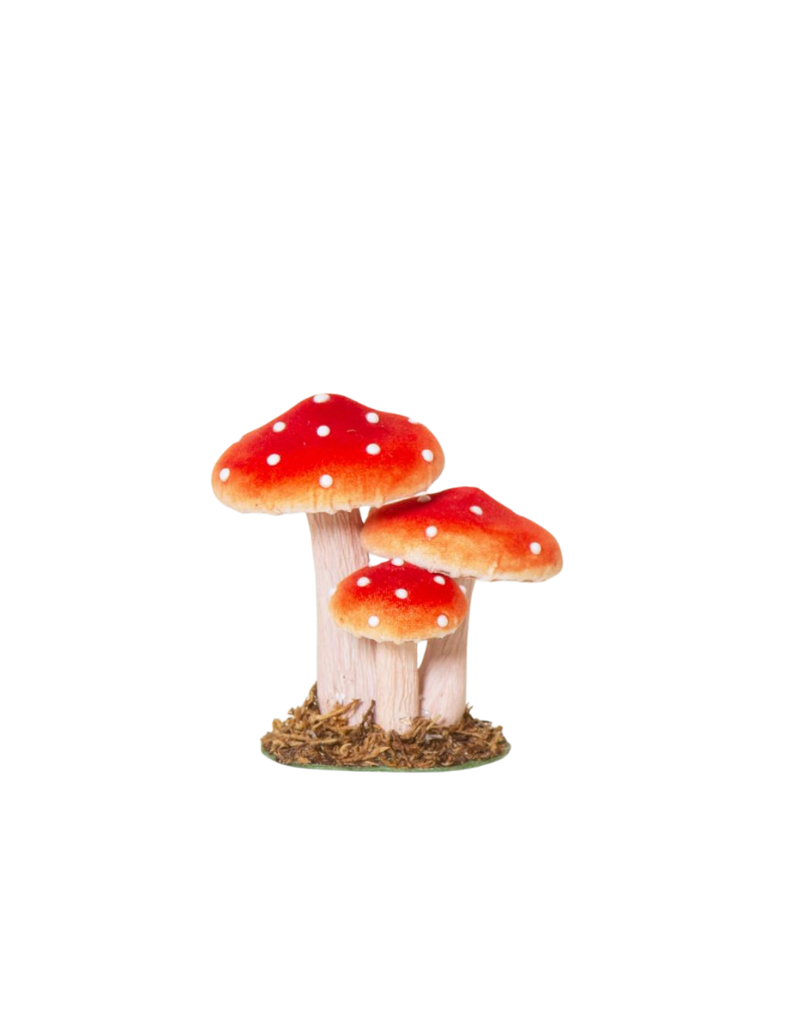 Medium Toadstool