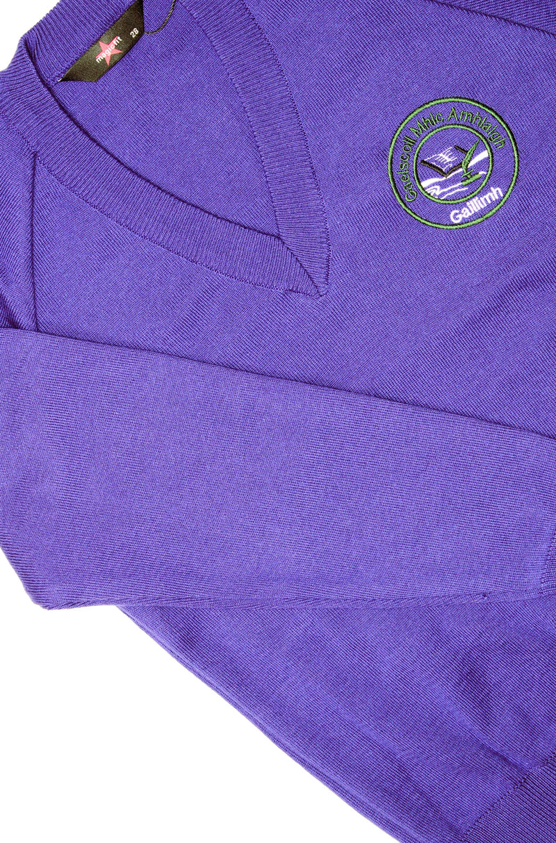 V Neck Jumper - Purple