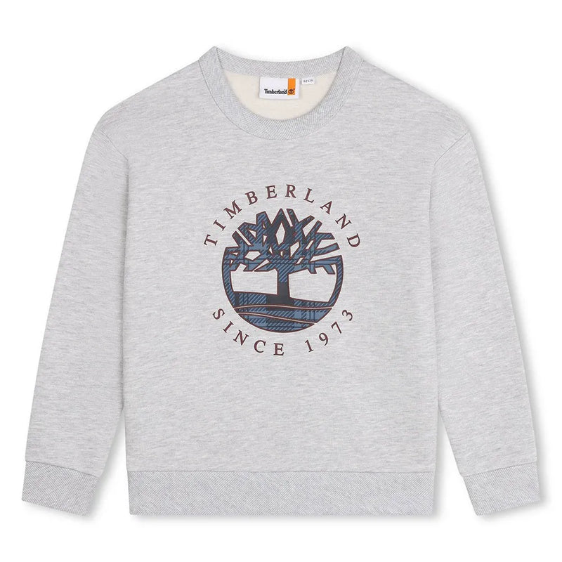 Front Print Sweatshirt - China Grey