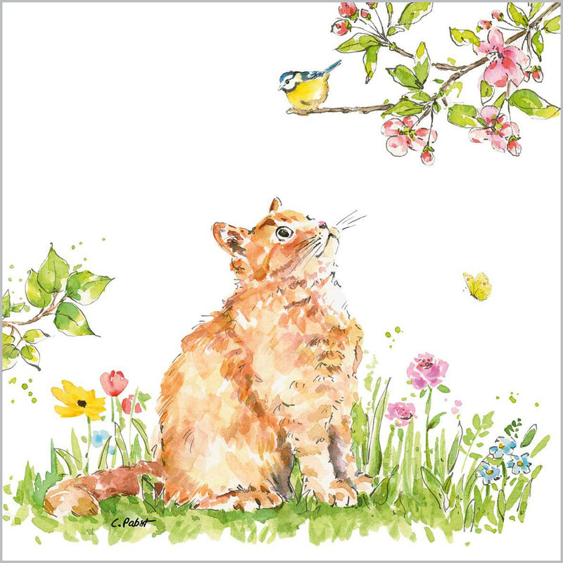 Pack of 20 Napkins 33 x 33 - Cat & Bird