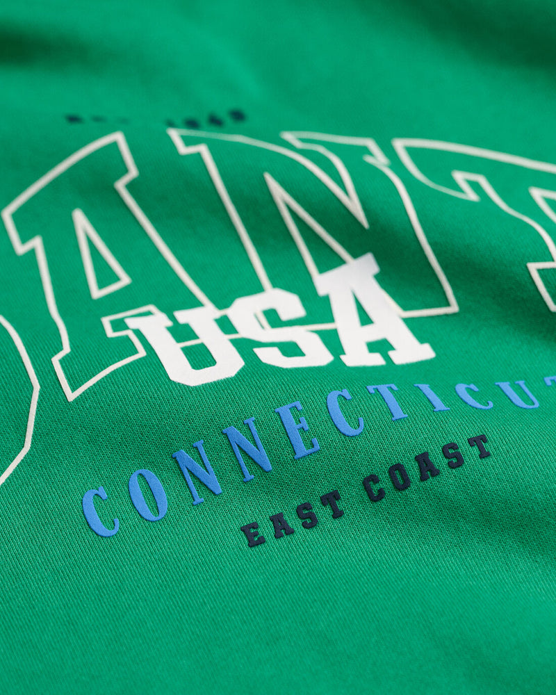 Relaxed USA Hoodie - Mid Green