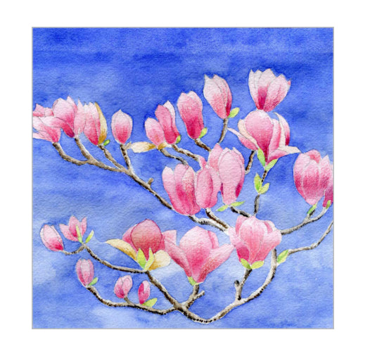 Pack of 20 Napkins 33 x 33 - Magnolia